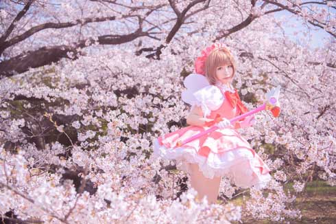 カードキャプターさくら グッズ 収集数 日本人 しらほしなつみ ギネス 認定