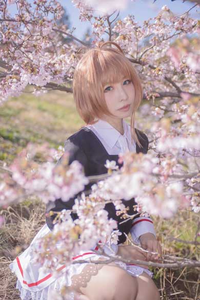 カードキャプターさくら グッズ 収集数 日本人 しらほしなつみ ギネス 認定