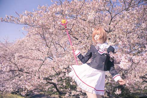 カードキャプターさくら グッズ 収集数 日本人 しらほしなつみ ギネス 認定