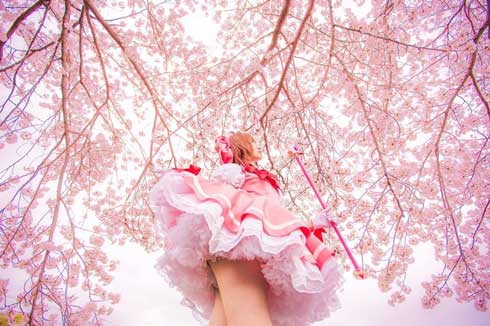 カードキャプターさくら グッズ 収集数 日本人 しらほしなつみ ギネス 認定