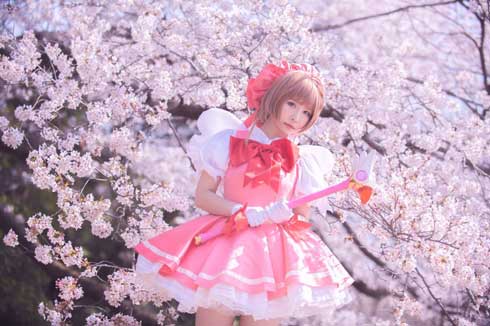 カードキャプターさくら グッズ 収集数 日本人 しらほしなつみ ギネス 認定