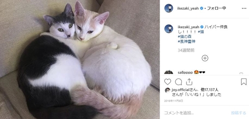 サンシャイン池崎 風神雷神 猫 裏アカウント 裏垢 流出 スクープ