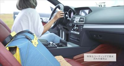 Seatbag