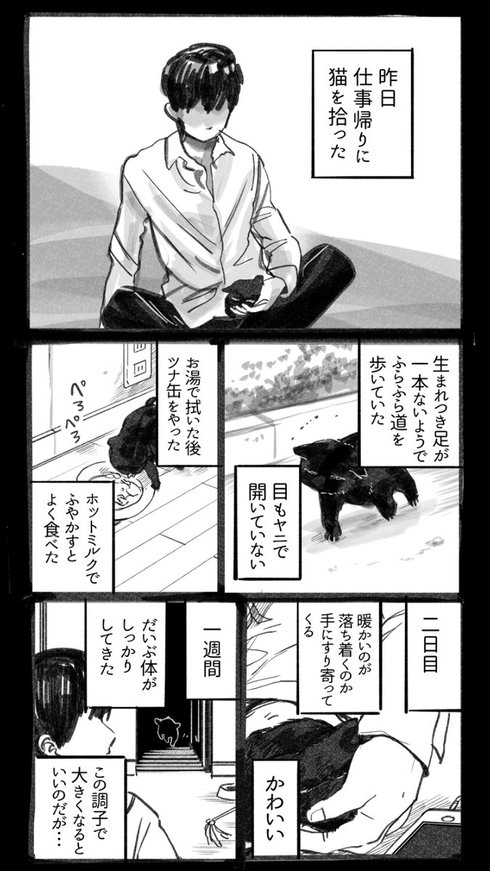 猫を拾った話01