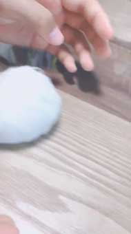 キュウリ 食べる 転がる ハムちゃん ハムスター かわいい