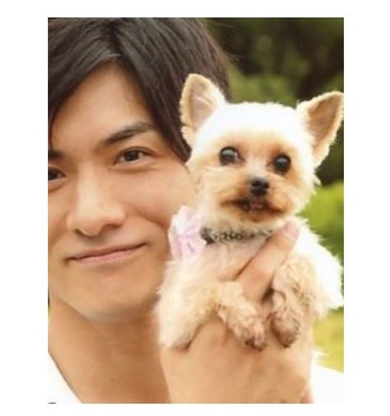 滝川英治 愛犬 ペット 死 滝川クリステル 脊椎損傷