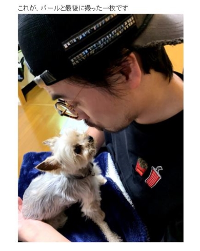 滝川英治 愛犬 ペット 死 滝川クリステル 脊椎損傷