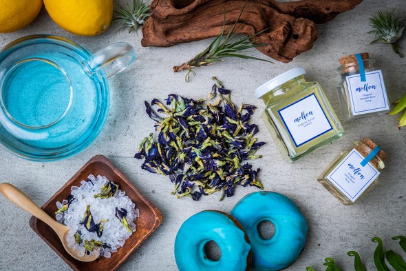 molfon -モルフォン-