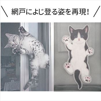 子猫のトート