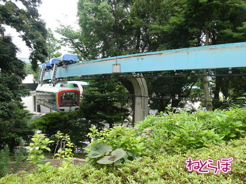 上野動物園 モノレール 休止