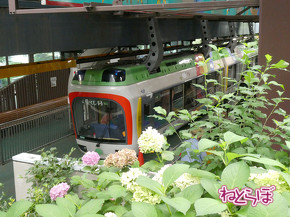 上野動物園 モノレール 休止