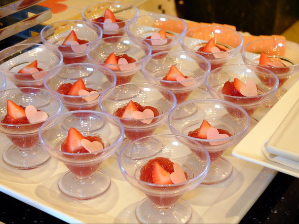 ドナルドジャングルサマー