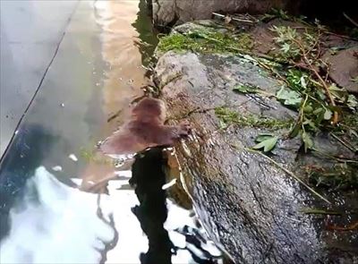 アクアマリンふくしま