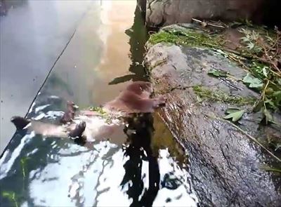 アクアマリンふくしま