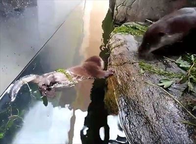 アクアマリンふくしま