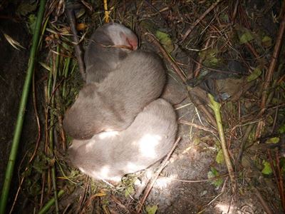 アクアマリンふくしま