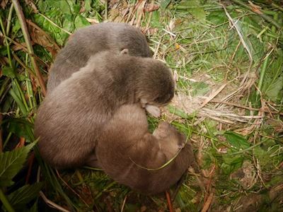 アクアマリンふくしま