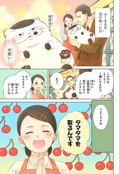漫画 おじさまと猫 第3巻 桜井海 ふくまる 猫 去勢