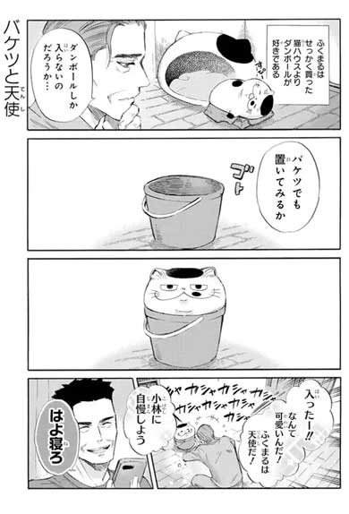 漫画 おじさまと猫 第3巻 桜井海 ふくまる 猫 去勢