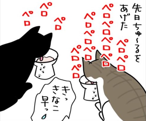 猫