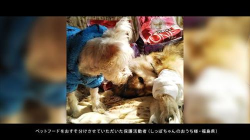 おすそ分けプロジェクト