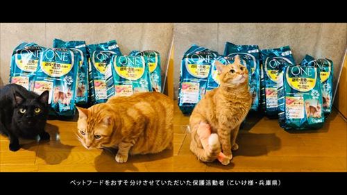 おすそ分けプロジェクト