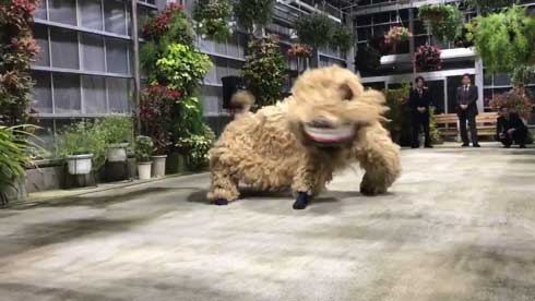 沖縄 獅子舞 迫力 すごい 怖い 琉球獅子舞 大きい