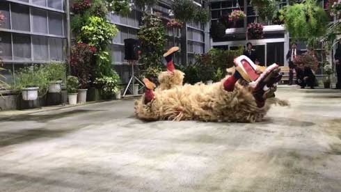 沖縄 獅子舞 迫力 すごい 怖い 琉球獅子舞 大きい