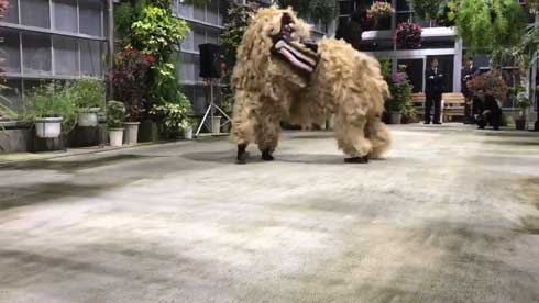 沖縄 獅子舞 迫力 すごい 怖い 琉球獅子舞 大きい