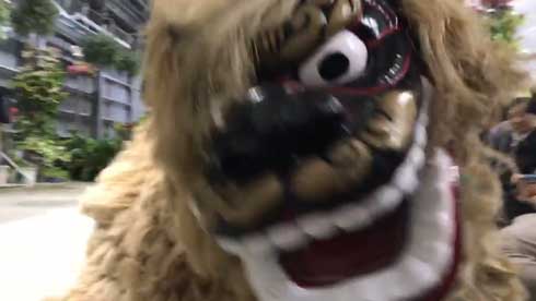 沖縄 獅子舞 迫力 すごい 怖い 琉球獅子舞 大きい