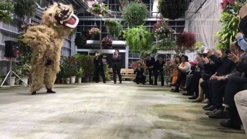 沖縄 獅子舞 迫力 すごい 怖い 琉球獅子舞 大きい