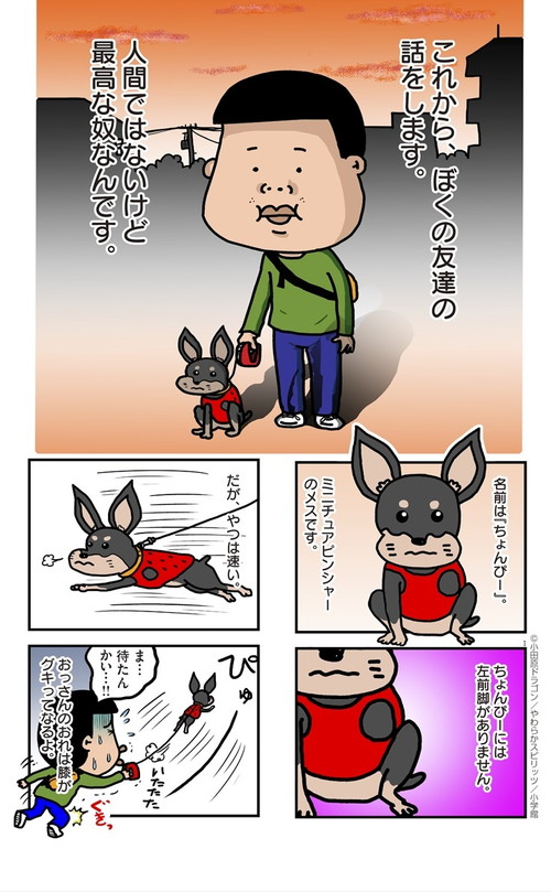 ぼくと三本足のちょんぴー