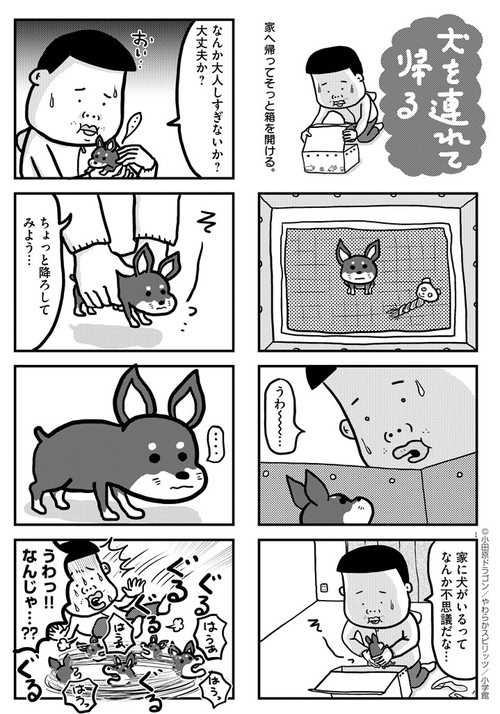 ぼくと三本足のちょんぴー
