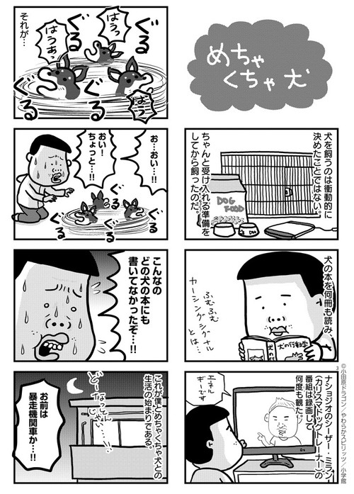 ぼくと三本足のちょんぴー