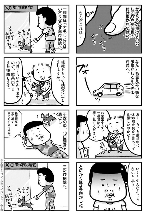 ぼくと三本足のちょんぴー