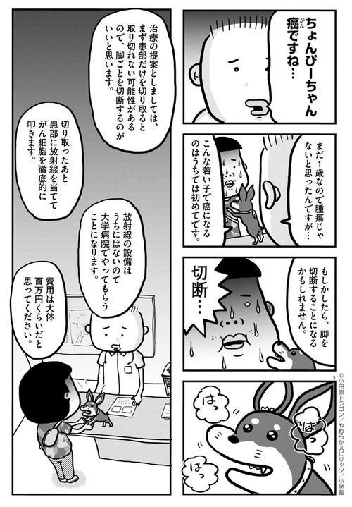 ぼくと三本足のちょんぴー