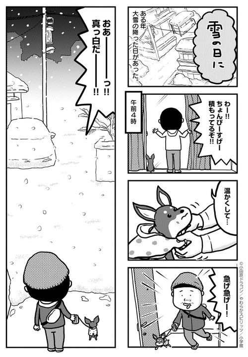 ぼくと三本足のちょんぴー