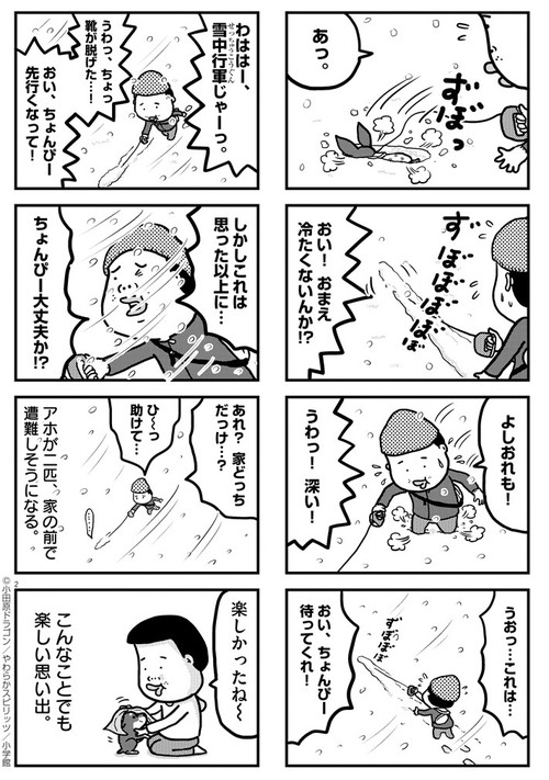 ぼくと三本足のちょんぴー