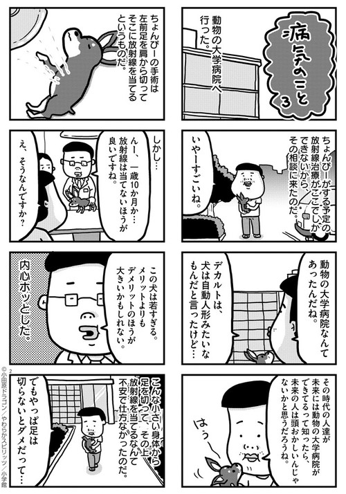 ぼくと三本足のちょんぴー