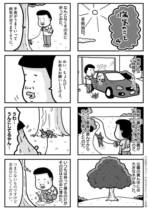 ぼくと三本足のちょんぴー