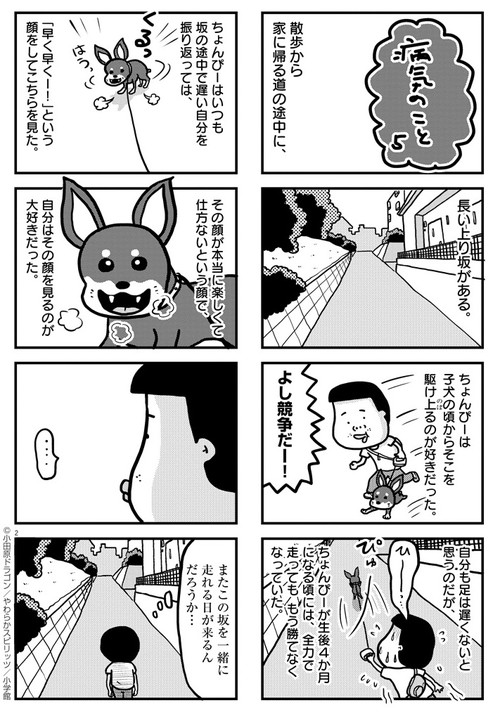 ぼくと三本足のちょんぴー