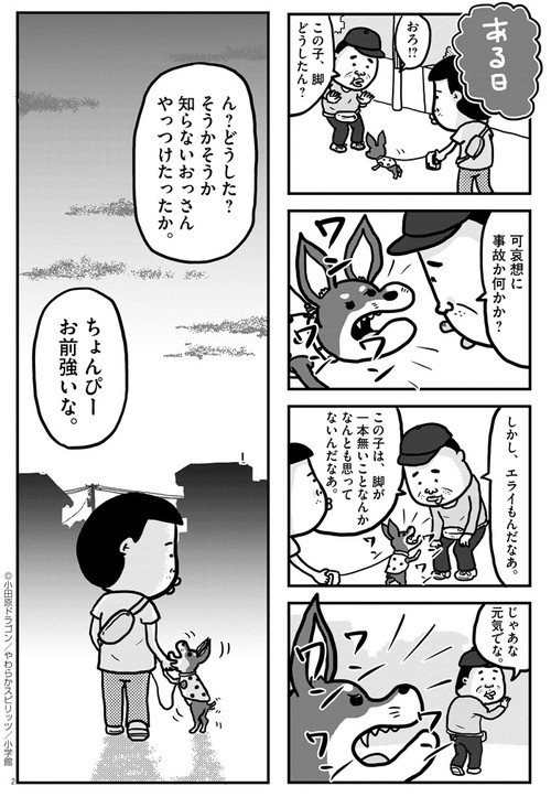 ぼくと三本足のちょんぴー