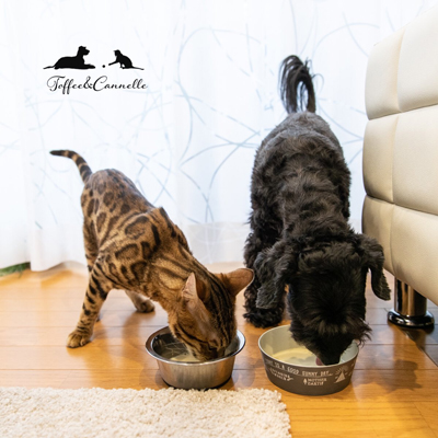 ご飯を食べるCannelleさんとToffeeさん