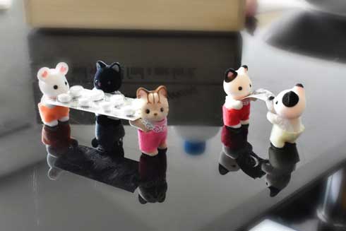 出しっぱなし 物 片付け 彼氏 シルバニア 赤ちゃん 群がる システム