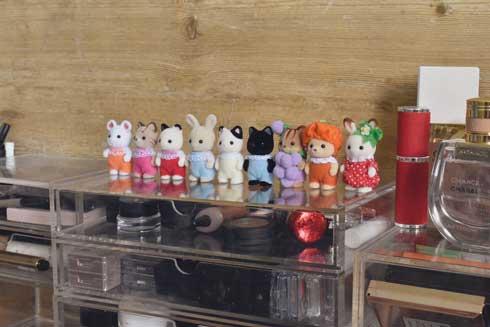 出しっぱなし 物 片付け 彼氏 シルバニア 赤ちゃん 群がる システム