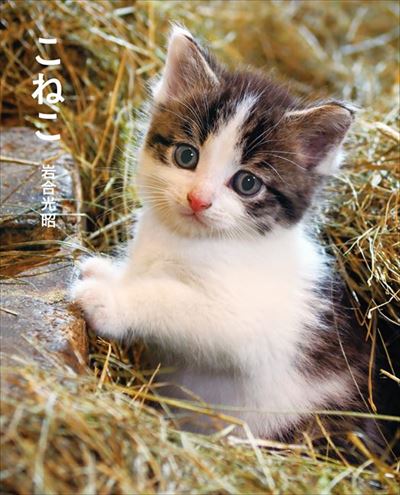 岩合光昭写真展「こねこ」