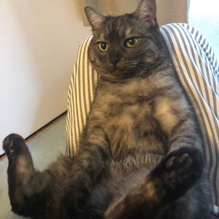 社長ジョナくん