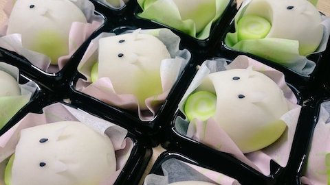 食べられる蚊取り豚