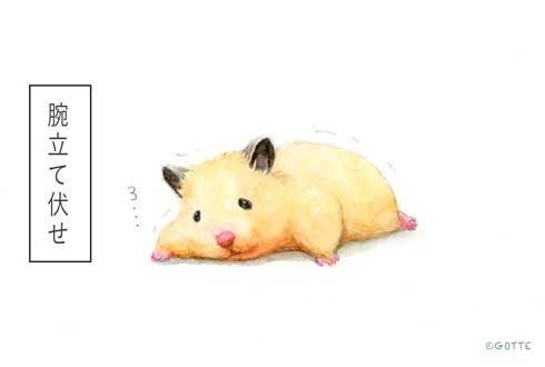 ハムスター 画家 GOTTE 筋トレ ハムちゃん かわいい イラスト 助六