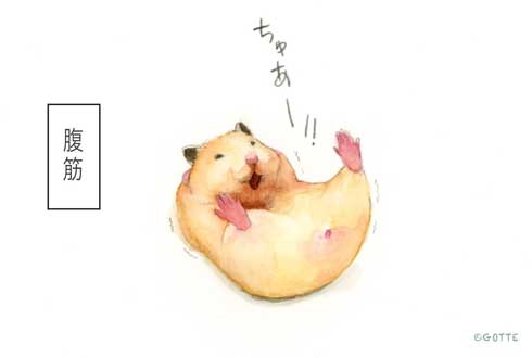 ハムスター 画家 GOTTE 筋トレ ハムちゃん かわいい イラスト 助六